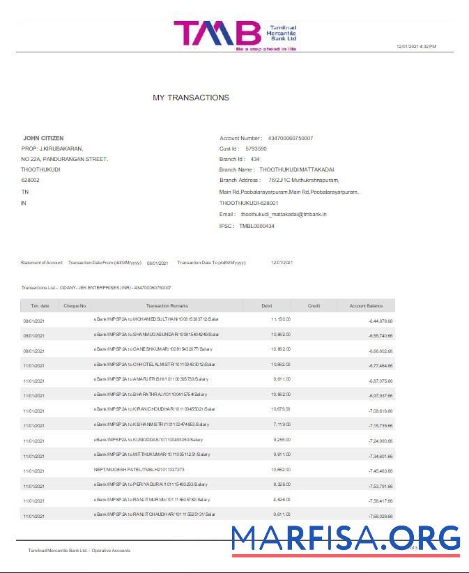 Printable India TAB bank statement word real example